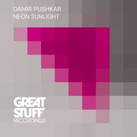 Damir Pushkar - Neon Sunlight
