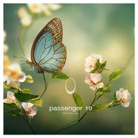 Passenger 10 - Feel This Way