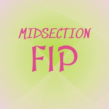 Various Artists - Midsection Fip