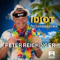 Peter Reichinger - Idiot (CSI Caribbean Mix)
