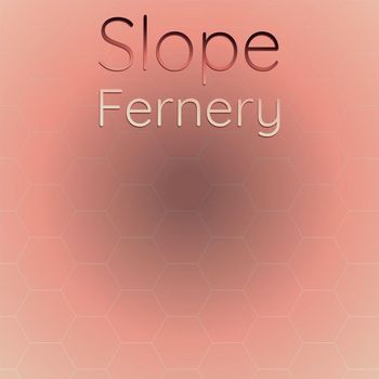 Various Artists - Slope Fernery