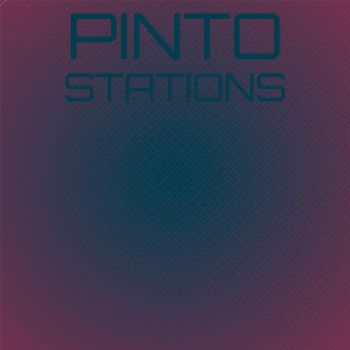 Various Artists - Pinto Stations