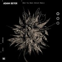 Adam Beyer - What You Need (Kölsch Remix)