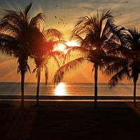 Calm Music - Relaxing & Chill Out