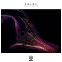 Fell Reis - Telemetry EP