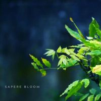 Sapere Bloom - Drops of Life