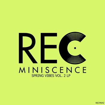 Various Artists - Spring Vibes, Vol. 2 LP