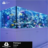 Petrique - Astral