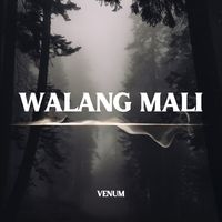 Venum - Walang Mali
