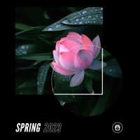 Chill Beats Music - Spring 2023