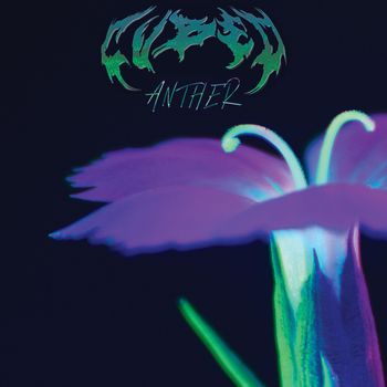 CUBED - ANTHER