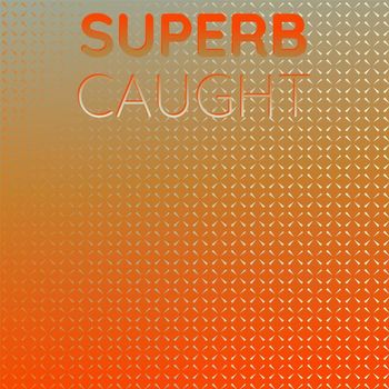 Various Artists - Superb Caught
