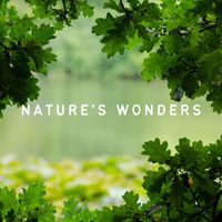 Nature Field Recordings - Nature's Wonders
