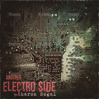 Aharon Segal - Another Electro Side