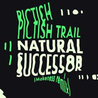 Pictish Trail - Natural Successor