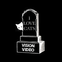 Vision Video - I Love Cats