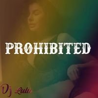 DJ LULU - Prohibited