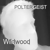 Wildwood - Poltergeist
