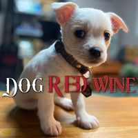 Chris Heifner - Red Dog Wine