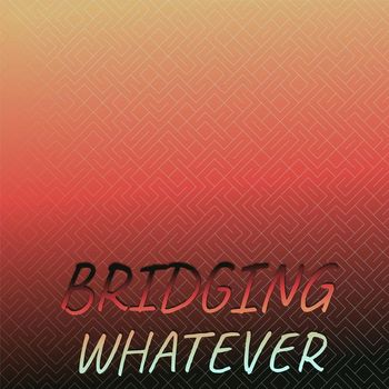 Various Artists - Bridging Whatever