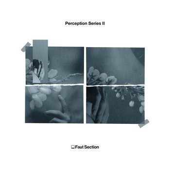 Various Artists - Perception Series ||