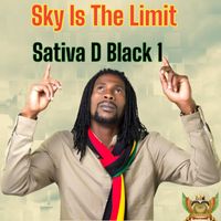 Sativa D Black 1 - Sky Is the Limit