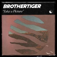 Brothertiger - Take a Picture