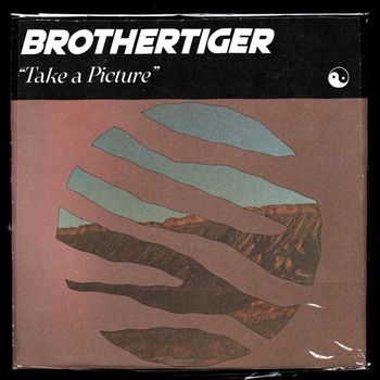 Brothertiger - Take a Picture