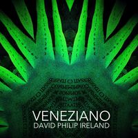 David Philip Ireland - Veneziano