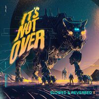 Zayde Wølf - It's Not Over (Slowed & Reverbed Remix)
