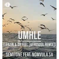 Semitone - Umhle (Lebzin & Dr Feel AfroSoul Remix)