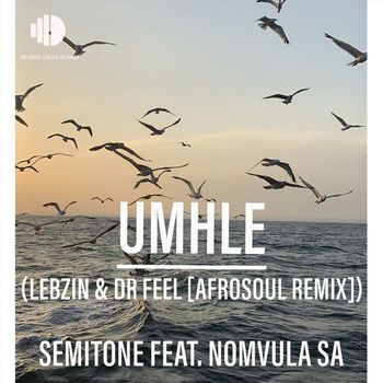 Semitone - Umhle (Lebzin & Dr Feel AfroSoul Remix)
