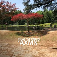 Beat Weirdos - AXMX
