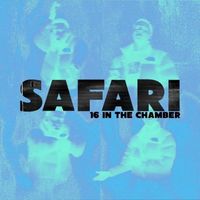 Safari - 16 in the Chamber