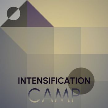 Various Artists - Intensification Camp