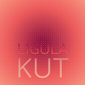 Various Artists - Ligula Kut