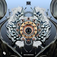 RSK - Metatronics