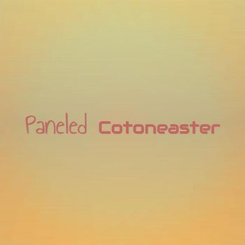 Various Artists - Paneled Cotoneaster