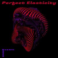 Manjit Makhni - Perfect Elasticity