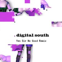 Digital South - Yes Sir No Good (Remix)