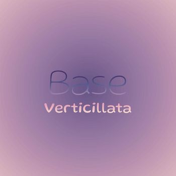 Various Artists - Base Verticillata