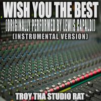 Troy Tha Studio Rat - Wish You The Best (Originally Performed by Lewis Capaldi) (Instrumental Version)