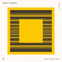 Ango Tamarin - What Was That?