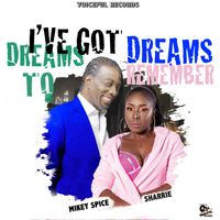 Mikey Spice - I've Got Dreams To Remember