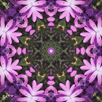Ray Violet - The Divine, Pt. 1
