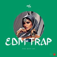 DJ Trendsetter - The Best of EDM Trap