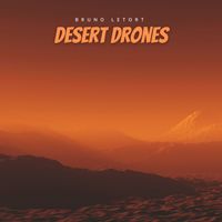 Bruno Letort - Desert Drones