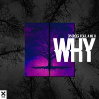 Disorder - Why