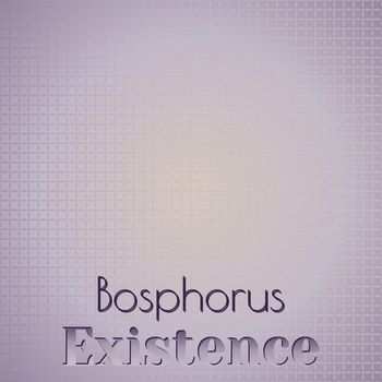 Various Artists - Bosphorus Existence