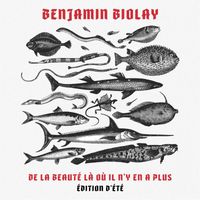 Benjamin Biolay - De la beauté là où il n'y en a plus (Édition d'été)